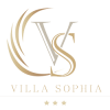 vs_logo